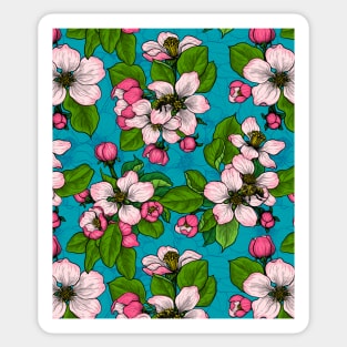 Apple blossom on turquoise Sticker